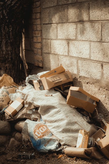 Avoid hidden rubbish removal charges in Westminster what to know