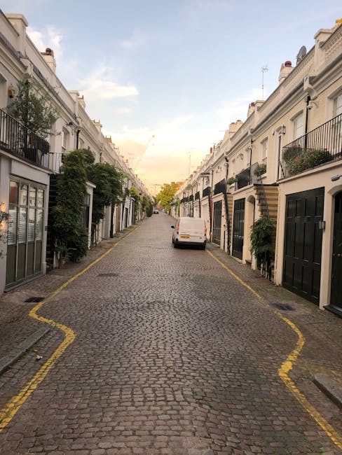 A narrow cobblestone street in a residential area, lined with white terraced townhouses featuring black and brown doors and window frames. Small, leafy green trees and plants are positioned along the