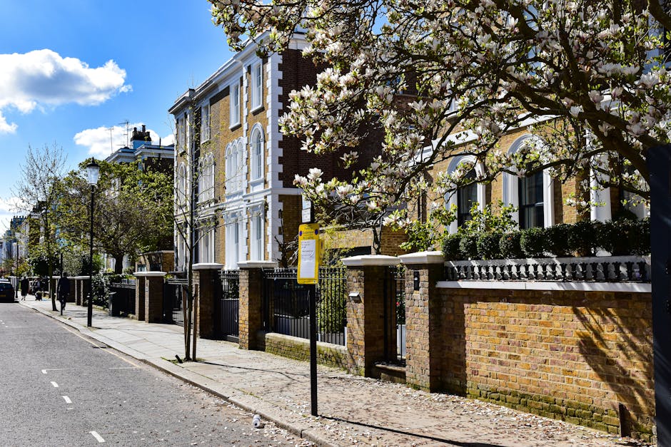 A narrow cobblestone street in a residential area, lined with white terraced townhouses featuring black and brown doors and window frames. Small, leafy green trees and plants are positioned along the
